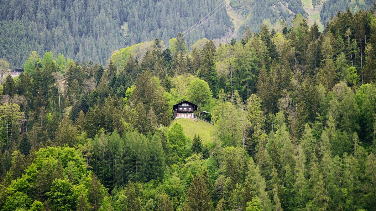 Chalet en bois isolé au coeur d'une forêt de montagne, vue aérienne